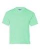 Picture of Gildan Ultra Cotton Youth T-Shirt