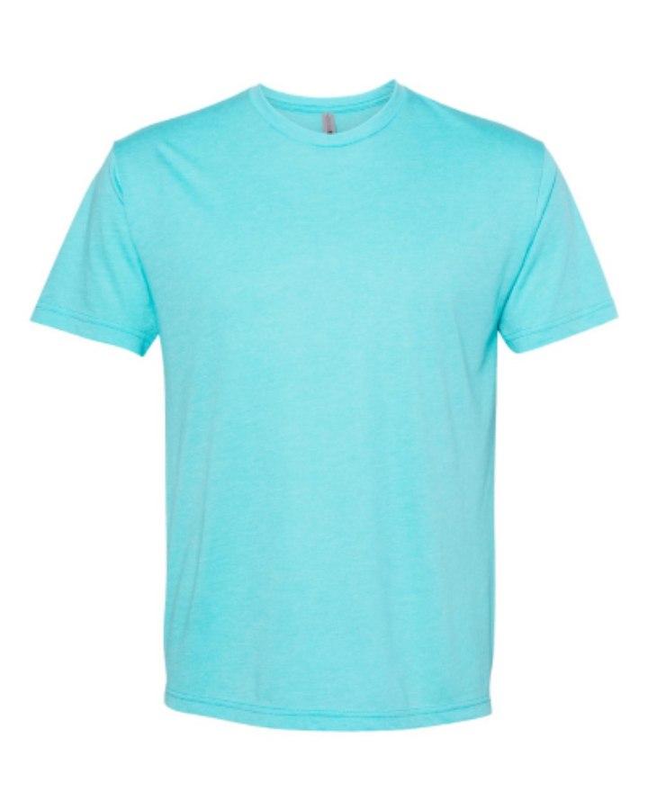 Picture of Next Level Triblend T-Shirt