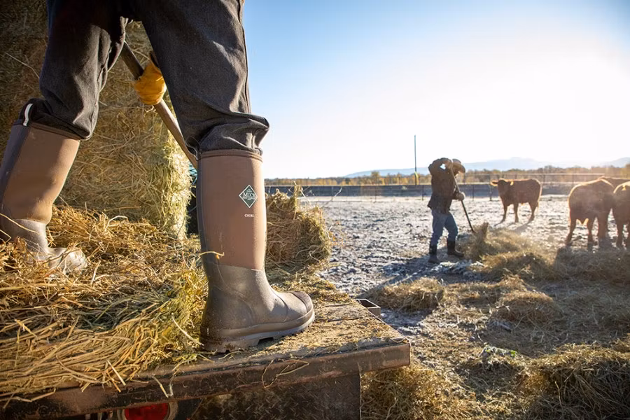 Picture of Muck Chore Classic Plain Toe Boots