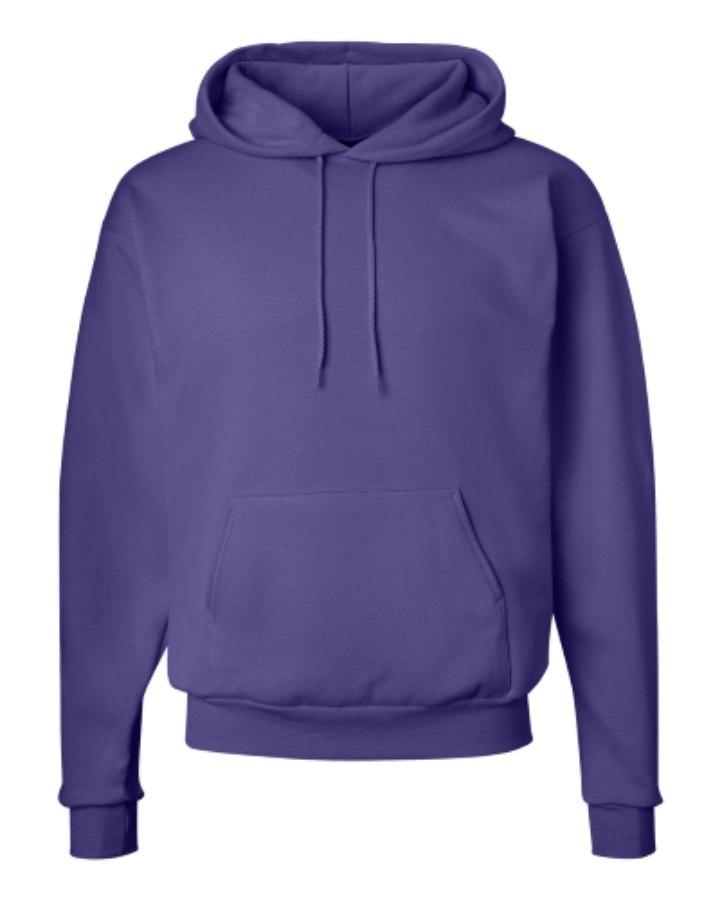 Picture of Hanes Ecosmart® Hooded Sweatshirt