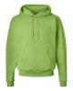 Picture of Hanes Ecosmart® Hooded Sweatshirt