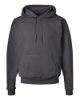 Picture of Hanes Ecosmart® Hooded Sweatshirt