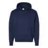 Picture of Hanes Ecosmart® Hooded Sweatshirt