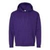 Picture of Hanes Ecosmart® Hooded Sweatshirt