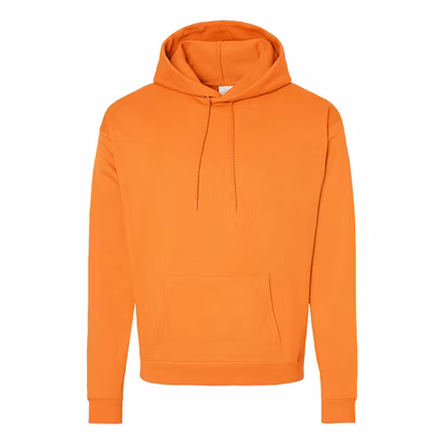 Picture of Hanes Ecosmart® Hooded Sweatshirt