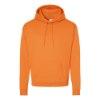 Picture of Hanes Ecosmart® Hooded Sweatshirt