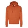 Picture of Hanes Ecosmart® Hooded Sweatshirt