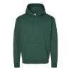 Picture of Hanes Ecosmart® Hooded Sweatshirt