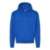 Picture of Hanes Ecosmart® Hooded Sweatshirt