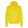 Picture of Hanes Ecosmart® Hooded Sweatshirt