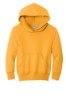 Picture of Port & Company Youth Core Fleece Pullover Hooded Sweatshirt