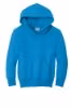 Picture of Port & Company Youth Core Fleece Pullover Hooded Sweatshirt