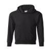 Picture of Hanes Ecosmart® Youth Hooded Sweatshirt