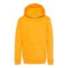 Picture of Hanes Ecosmart® Youth Hooded Sweatshirt