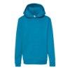 Picture of Hanes Ecosmart® Youth Hooded Sweatshirt