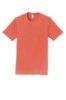 Picture of Port & Company Fan Favorite Tee
