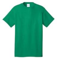 Picture of Port & Company Tall Core Cotton Tee