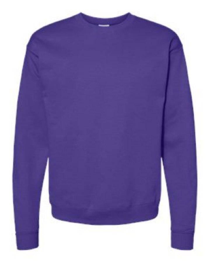 Picture of Hanes Ecosmart Crewneck Sweatshirt