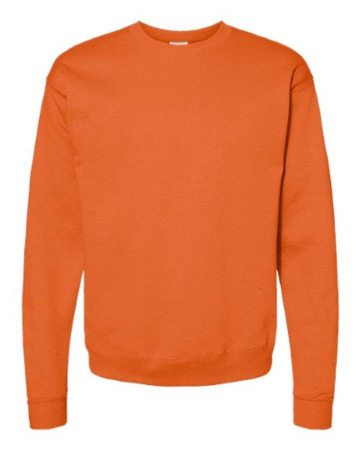 Picture of Hanes Ecosmart Crewneck Sweatshirt