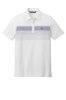 Picture of TravisMathew Coastal Chest Stripe Polo