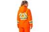 Picture of Helly Hansen Women's Alta Winter Hi-Vis Jacket