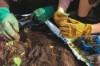 Picture of Kinco Kids' Suede Cowhide Driver Gloves