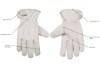 Picture of Kinco Unlined Pearl Grain Goatskin Driver Gloves