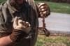 Picture of Kinco Pro Cutflector Premium Grain Buffalo with Steel Mesh Palm
