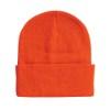 Picture of Sportsman 12" Solid Cuffed Beanie
