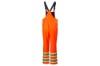 Picture of Helly Hansen Women's Alta Winter Hi-Vis Bibs