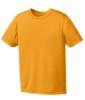 Picture of Port & Company Youth Performance T-Shirt
