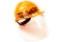 Picture of Portwest Hard Hat Face Shield (Shield Only)
