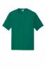 Picture of Port & Company Performance T-Shirt