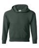 Picture of Hanes Ecosmart® Youth Hooded Sweatshirt
