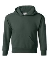 Picture of Hanes Ecosmart® Youth Hooded Sweatshirt