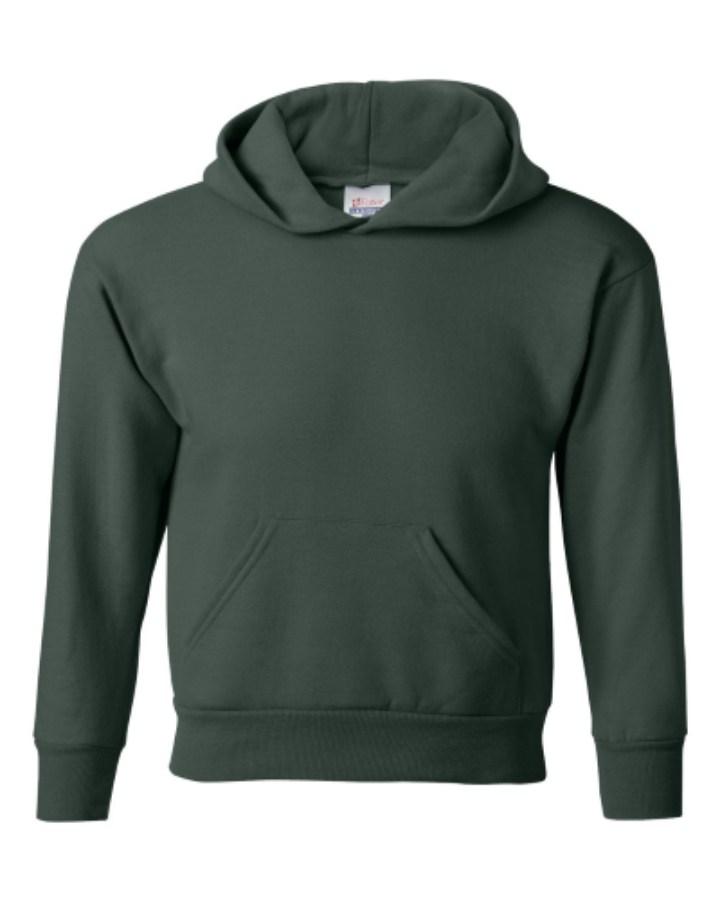 Picture of Hanes Ecosmart® Youth Hooded Sweatshirt