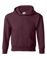 Picture of Hanes Ecosmart® Youth Hooded Sweatshirt