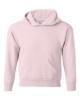 Picture of Hanes Ecosmart® Youth Hooded Sweatshirt