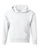 Picture of Hanes Ecosmart® Youth Hooded Sweatshirt