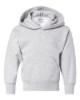 Picture of Hanes Ecosmart® Youth Hooded Sweatshirt