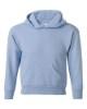 Picture of Hanes Ecosmart® Youth Hooded Sweatshirt
