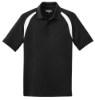 Picture of Sport-Tek Dry Zone Colorblock Raglan Polo