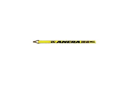 Picture of Ancra Winch Strap w/ Wire Hook