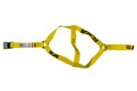 Picture of Ancra Basket Strap