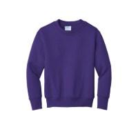Picture of Port & Co Youth Core Fleece Crewneck Sweatshirt