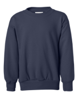 Picture of Hanes Youth EcoSmart Crewneck Sweatshirt