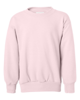 Picture of Hanes Youth EcoSmart Crewneck Sweatshirt