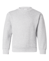 Picture of Hanes Youth EcoSmart Crewneck Sweatshirt