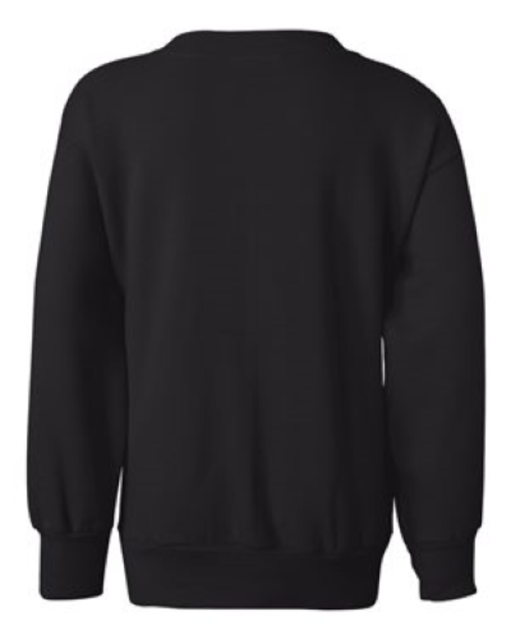 Hanes Youth EcoSmart Crewneck Sweatshirt Perspective View
