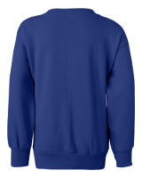 Hanes Youth EcoSmart Crewneck Sweatshirt Feature Close-up